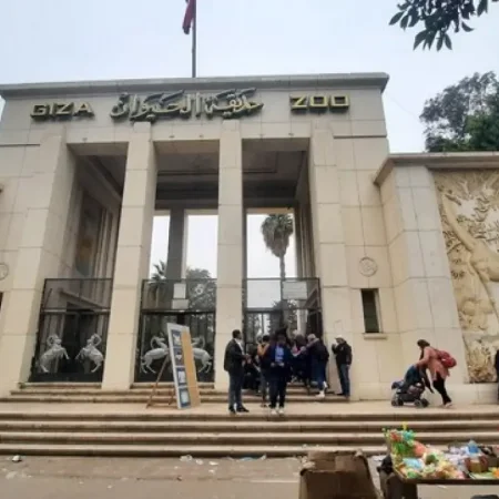 Private tour, Splendors of Cairo: A Day at Giza Zoo and the Aquarium Garden