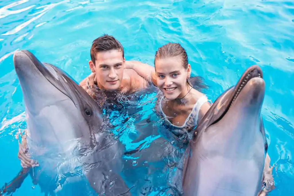 Swimming With Dolphins In Sealanya: Make Your Dreams Come True