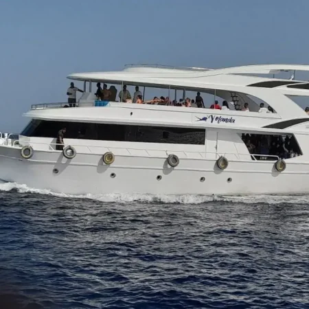 White Island &amp;amp;amp;amp; Ras Mohamed by VIP boat in Sharm El Sheikh