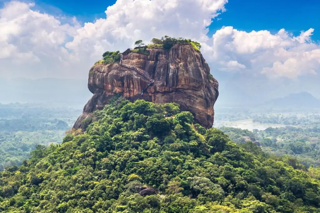 10-tägige Rundreise durch Sri Lanka: Odyssee durch Natur, Kultur und Tierwelt