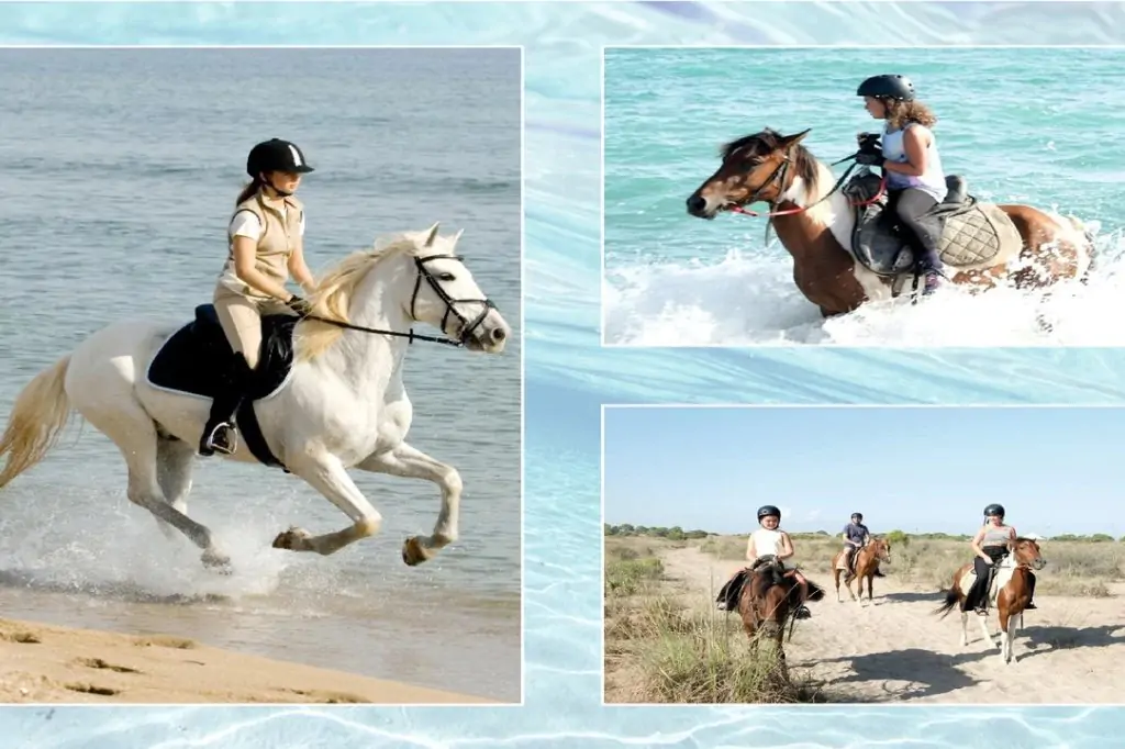 Antalya Horse Riding Experience (Sunset/Sunrise)