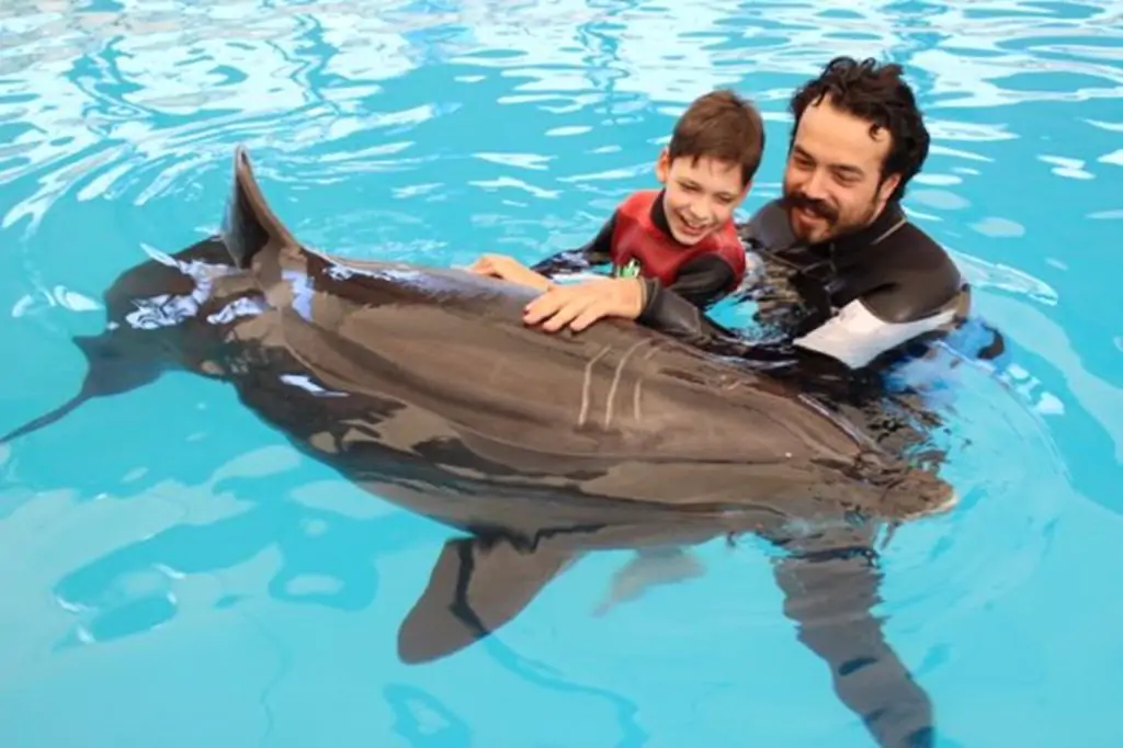 Antalya Swimming With Dolphins Tour