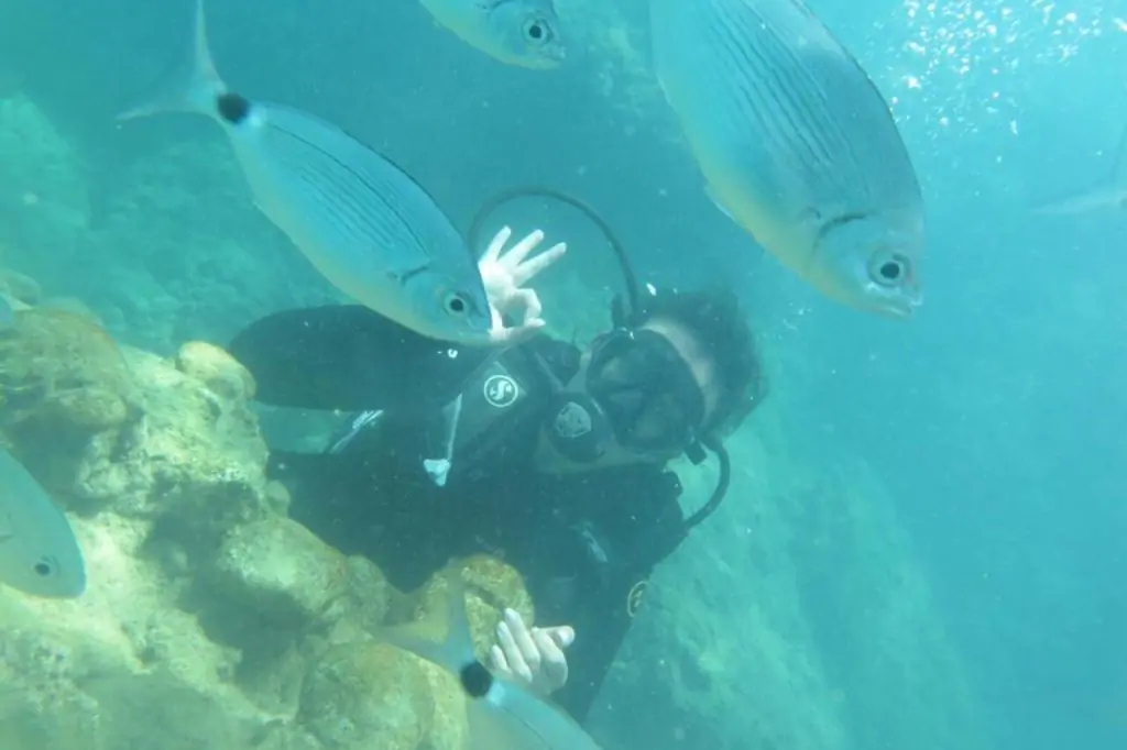 Alanya Scuba Diving Tour Alaaddin-1 Boat