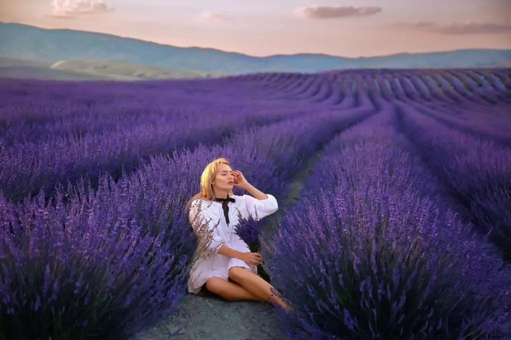 Sunset Lavender Garden Tour With Wine