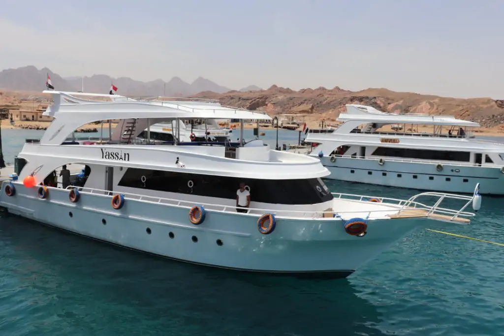 Half Day Snorkelling Boat Trip Ras mohammed National Park and White Island