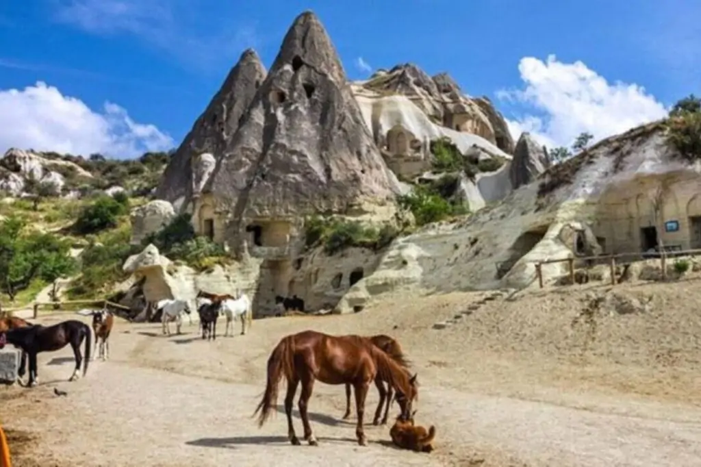 Cappadocia Two Hours Horseback Ride With Sunrise Or Sunset Option