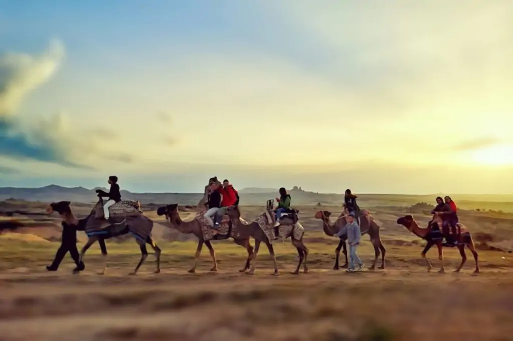 Plimbare cu cămila în Cappadocia cu opțiunea Ziua sau Răsărit/ Apus de soare