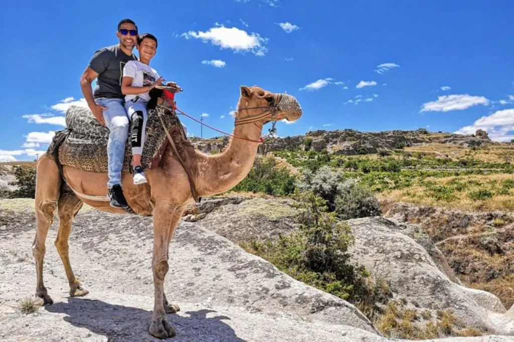 Plimbare cu cămila în Cappadocia cu opțiunea Ziua sau Răsărit/ Apus de soare