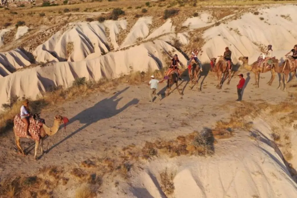 Plimbare cu cămila în Cappadocia cu opțiunea Ziua sau Răsărit/ Apus de soare