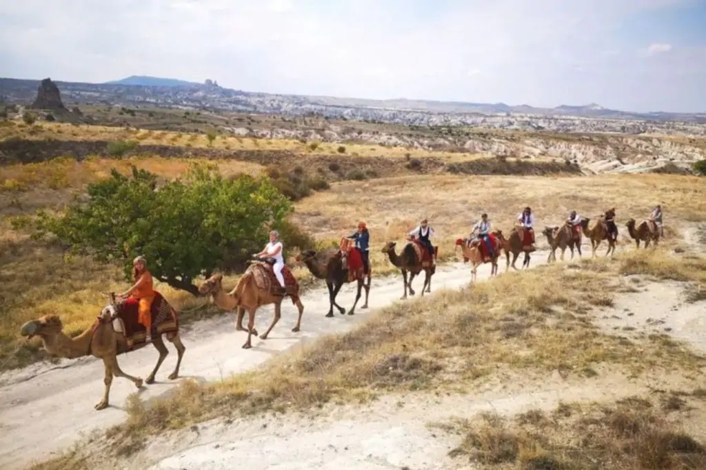 Cappadocia Camel Ride with Daytime or Sunrise/Sunset option