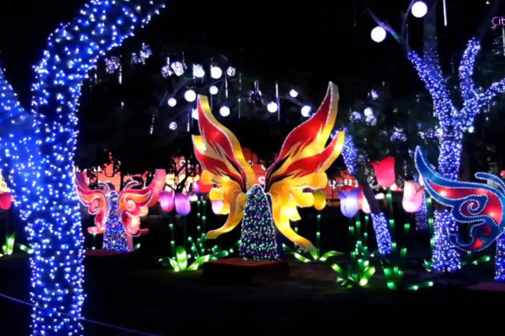 Dubai Glow Garden: A Magical Nighttime Wonderland