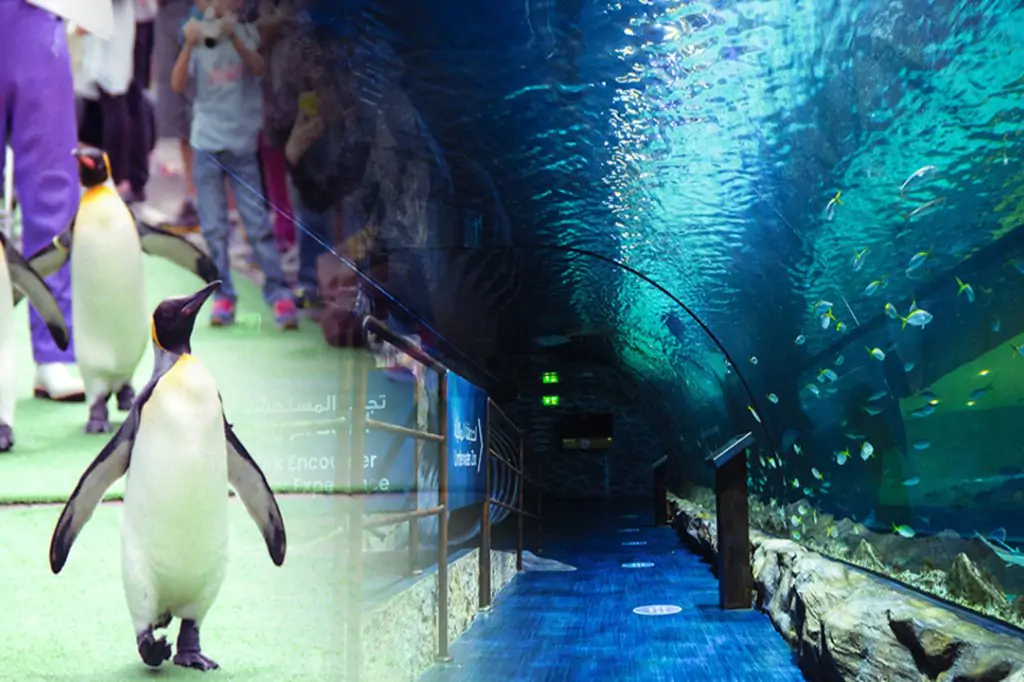 Acvariul și grădina zoologică subacvatică din Dubai Mall