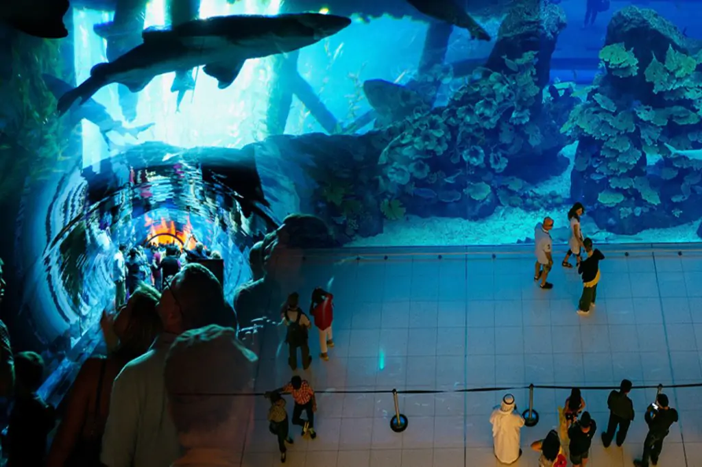 Acvariul și grădina zoologică subacvatică din Dubai Mall