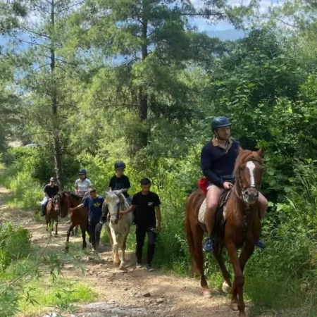 Alanya Horse Safari Tour: An Adventure in Nature