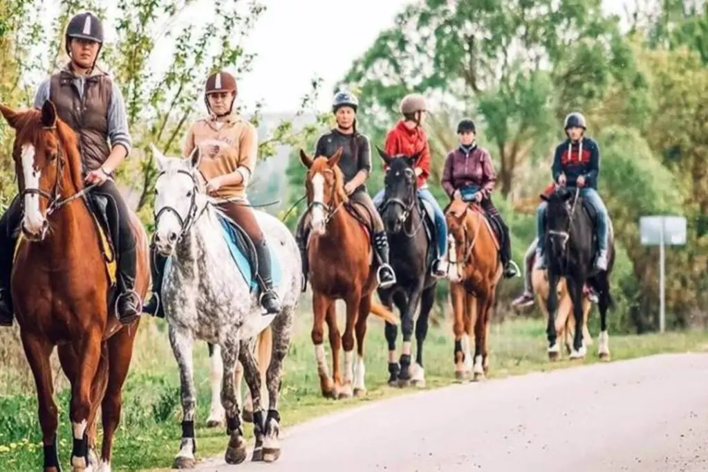 Turul Alanya Horse Safari: O aventură în natură