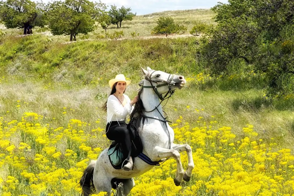 Cappadocia Horse 1 Hour Tour