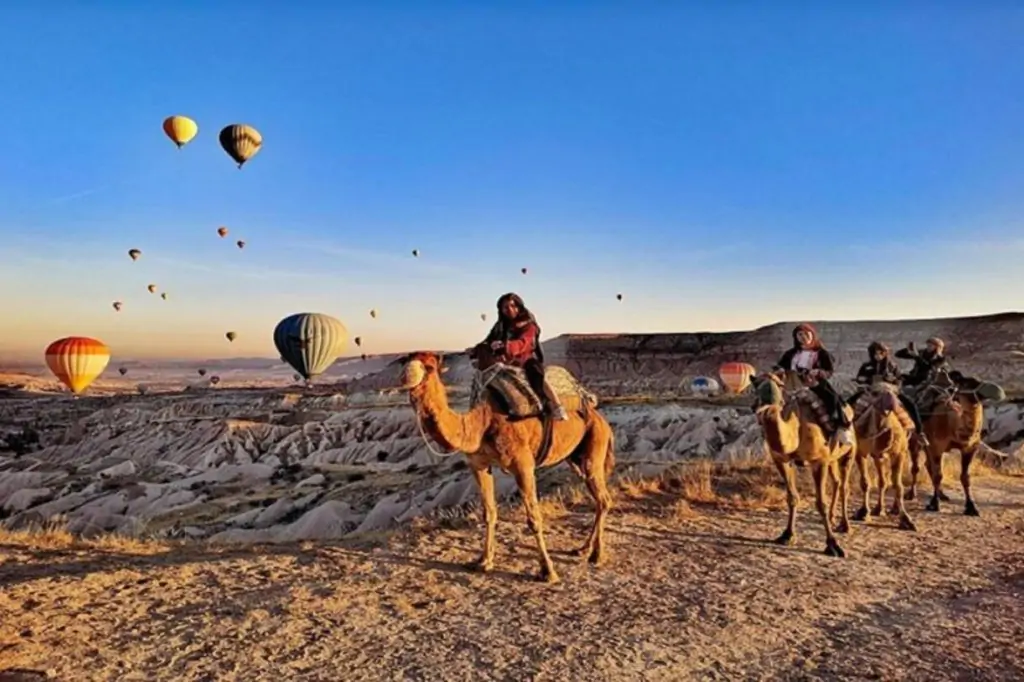 Cappadocia Camel Riding With Sunrise/Sunset Or Daytime Option + Hotel Transfer