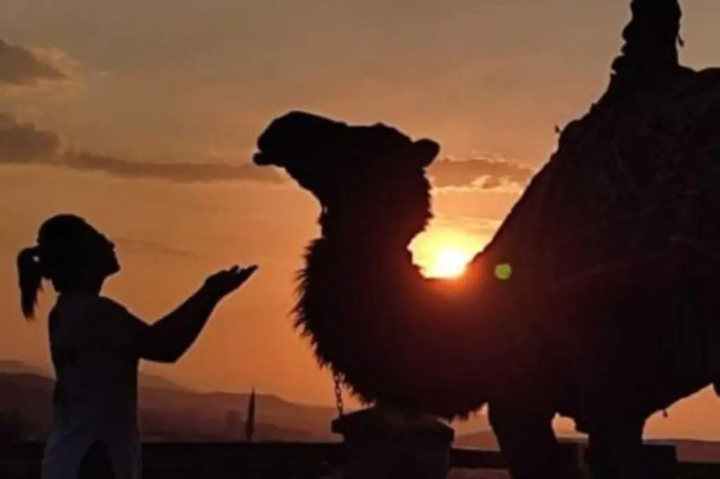 Cappadocia Camel Riding With Sunrise/Sunset Or Daytime Option + Hotel Transfer