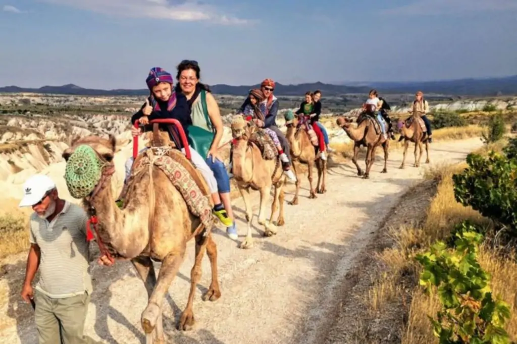 Călărire cu cămila în Cappadocia cu opțiunea răsărit/apus de soare sau în timpul zilei + transfer la hotel