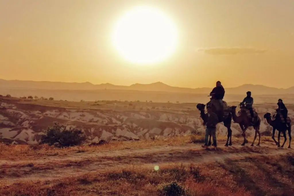 Cappadocia Camel Riding With Sunrise/Sunset Or Daytime Option + Hotel Transfer