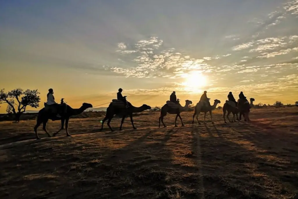 Kappadokien Kamelreiten mit Sonnenaufgang/Sonnenuntergang oder tagsüber Option + Hoteltransfer