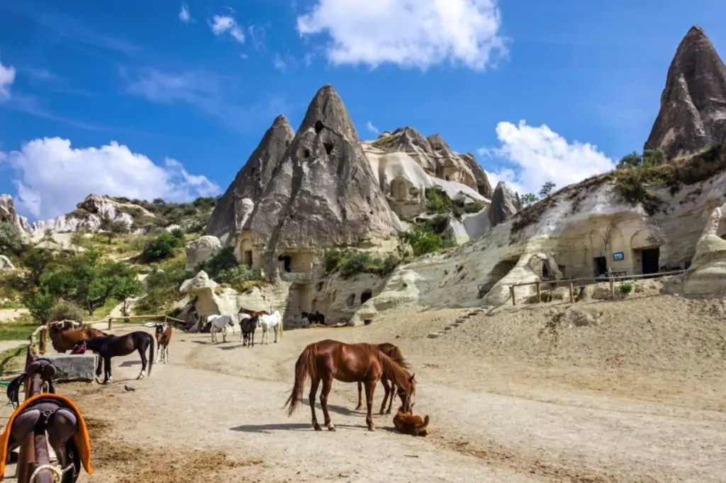 Călărie în Cappadocia cu opțiunea răsărit/apus de soare sau în timpul zilei + transfer la hotel