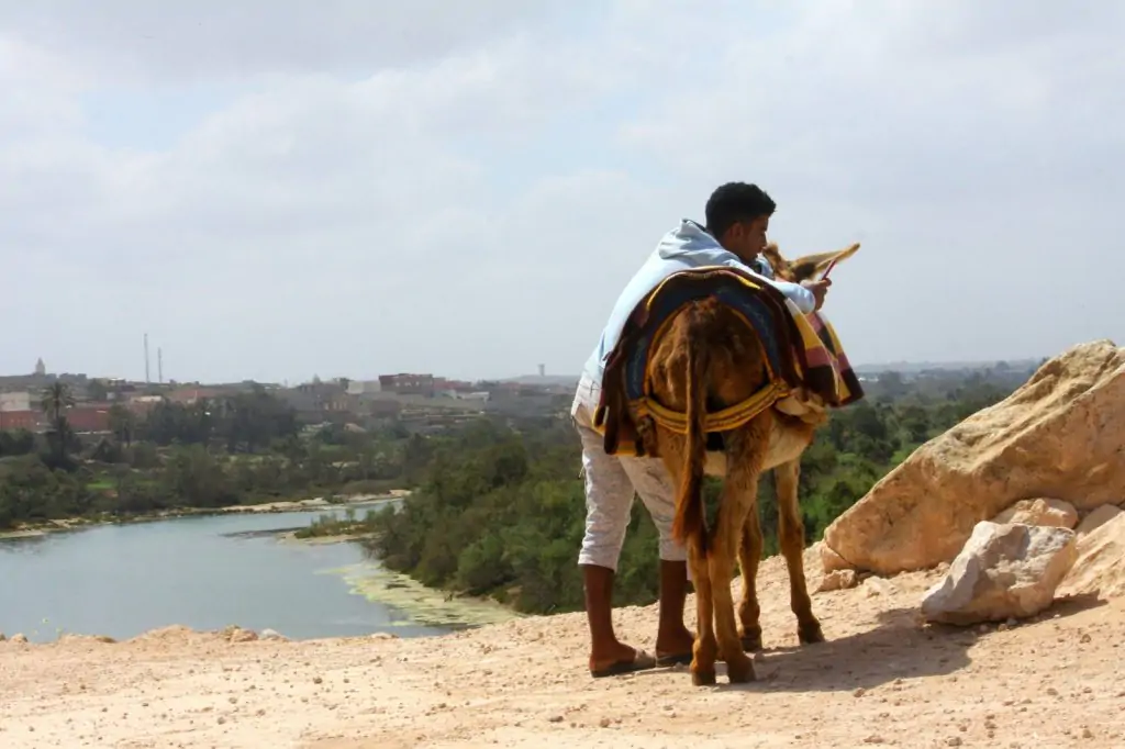 From Agadir: Souss-Massa National Park Tour with Lunch