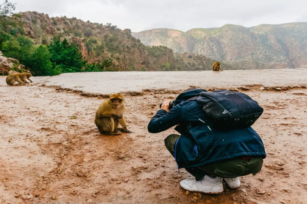 Escape to Paradise: Ouzoud Waterfalls Day Trip