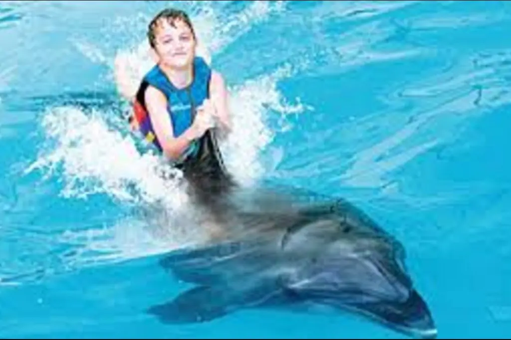 Dubai Dolphin and Seal Show