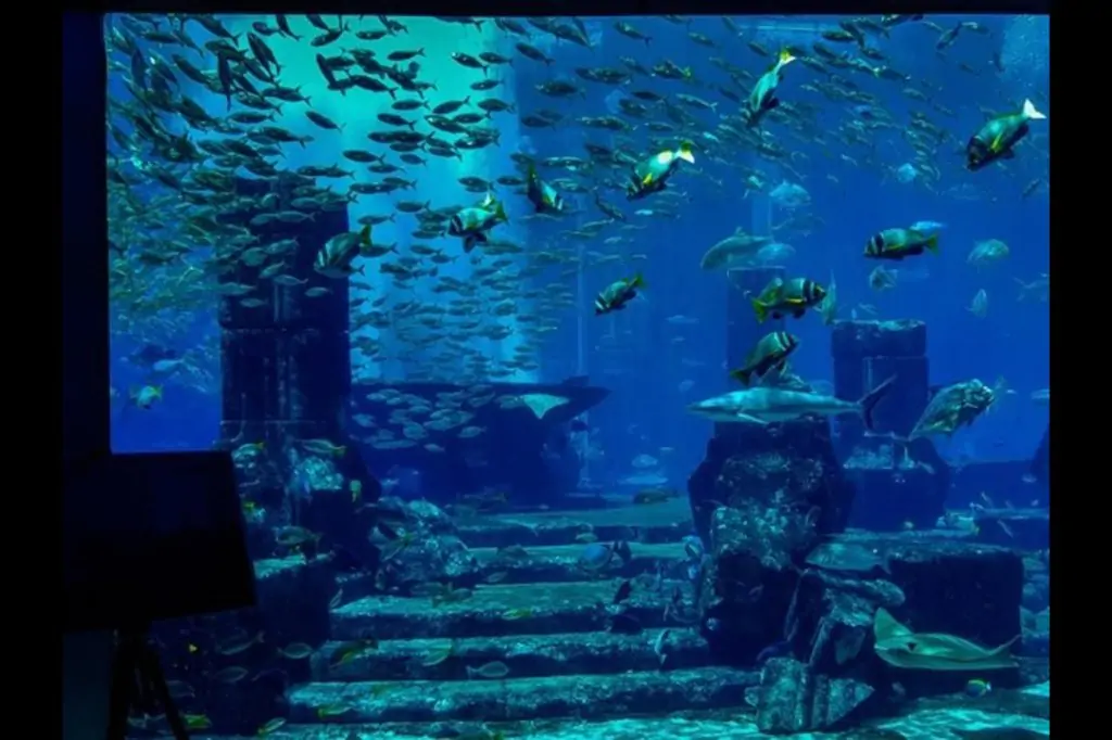 Atlantis Lost Chambers - Dubai