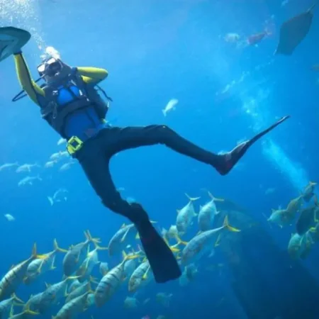 Scuba Diving in Dubai