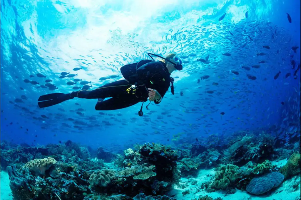 Scuba Diving in Dubai