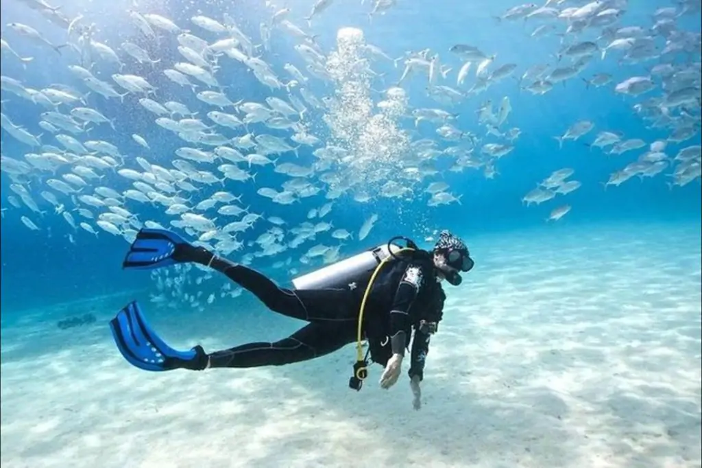 Scuba Diving in Dubai