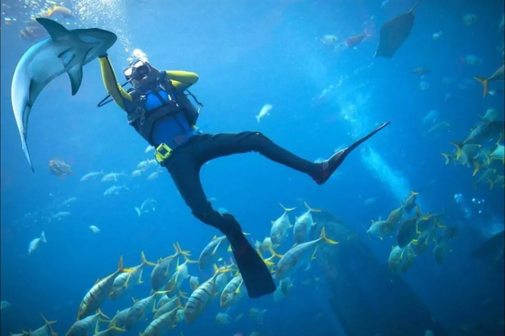 Scuba Diving in Dubai