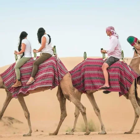 Camel Trekking in Dubai