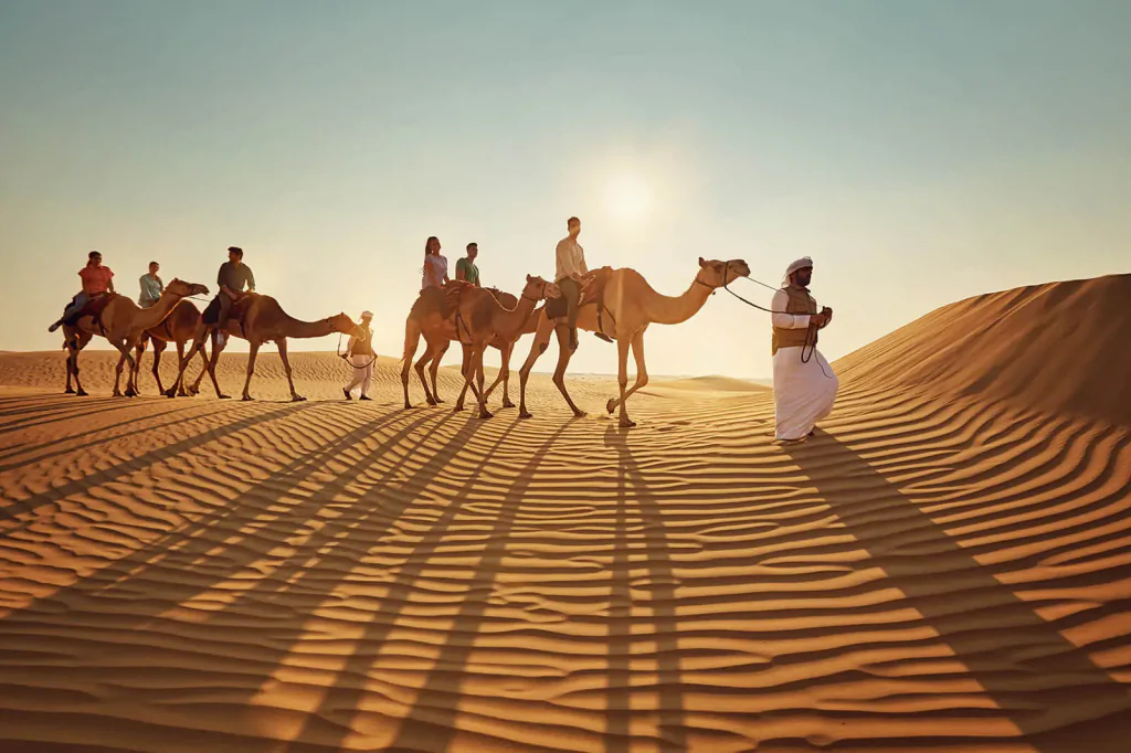 Camel Trekking in Dubai