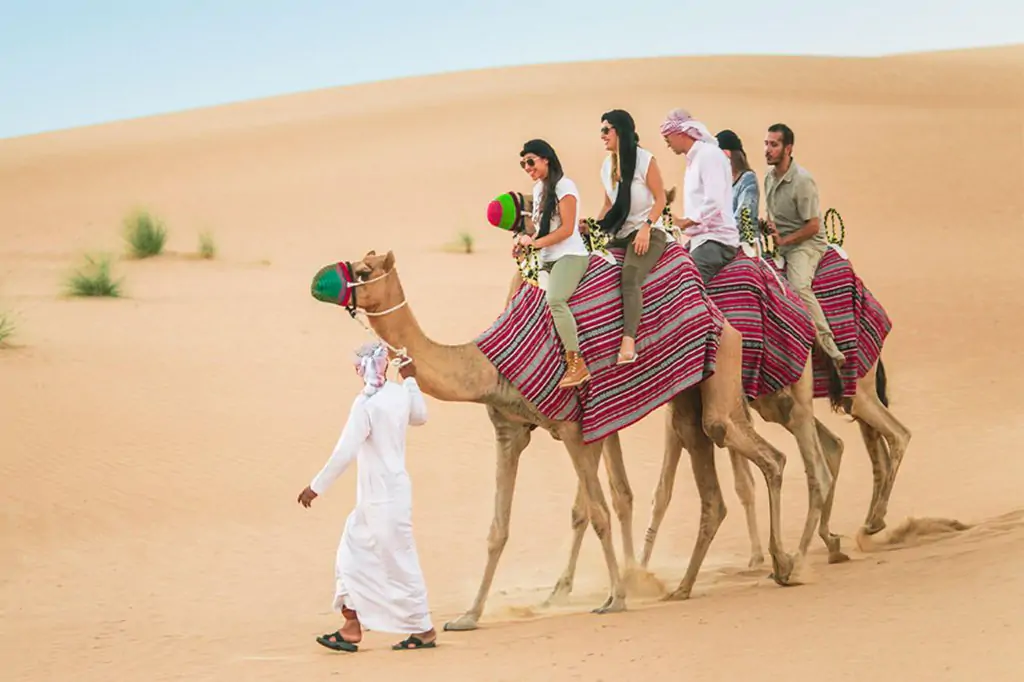 Camel Trekking in Dubai