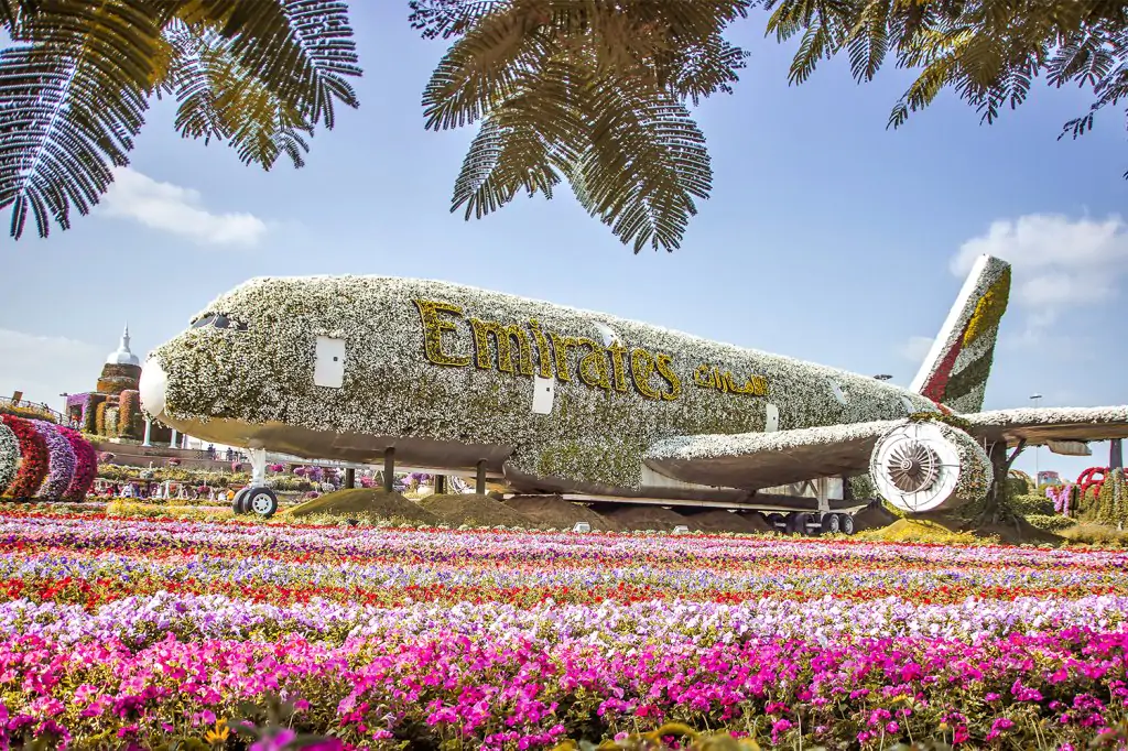 Dubai: Miracle Garden & Global Village Trip