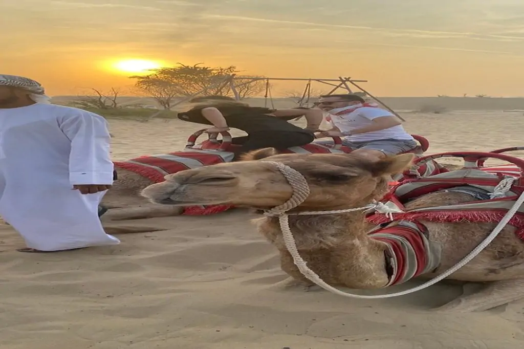 Dubai: Desert Safari, Quad Bike, Camel Ride and Evening Camp