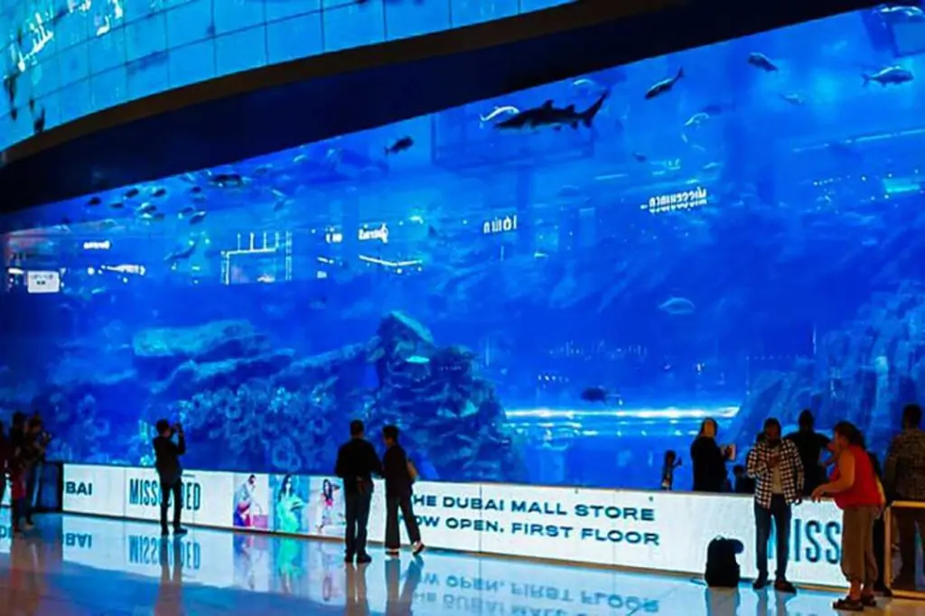 From Abu Dhabi: Private Dubai Full-Day Sightseeing Tour