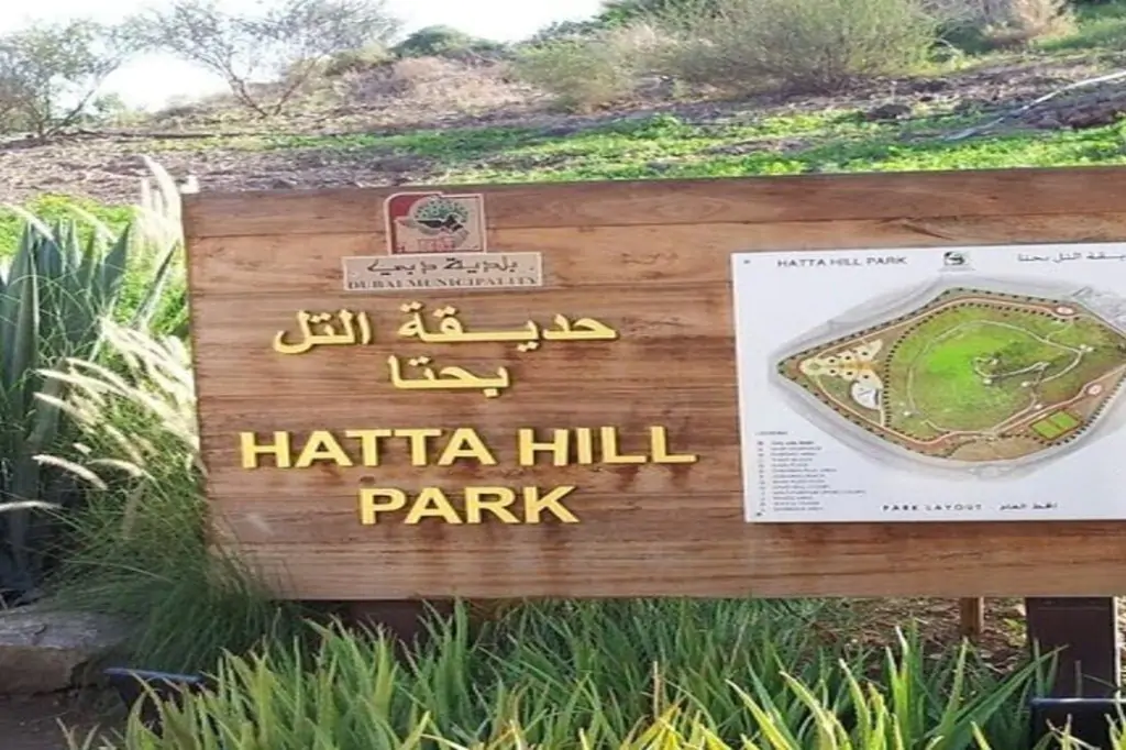 From Dubai: Private Hatta Mountain Tour