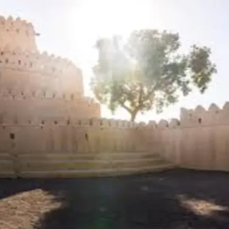 From Dubai: Private Al Ain City Tour with zoo tickets