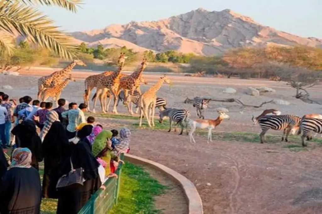 From Dubai: Private Al Ain City Tour with zoo tickets