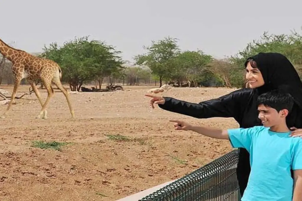 From Dubai: Private Al Ain City Tour with zoo tickets