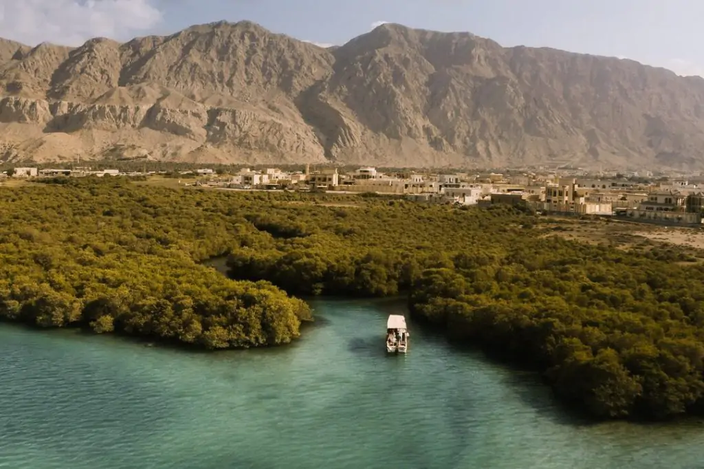 From Dubai: Private Ras Al Khaimah Zip Line Tour