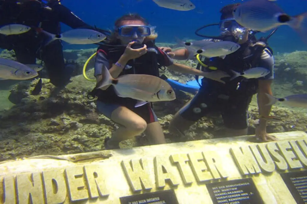 Scuba Diving Tour in Side Underwater Museum